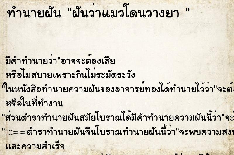 ทำนายฝัน ฝันว่าแมวโดนวางยา 